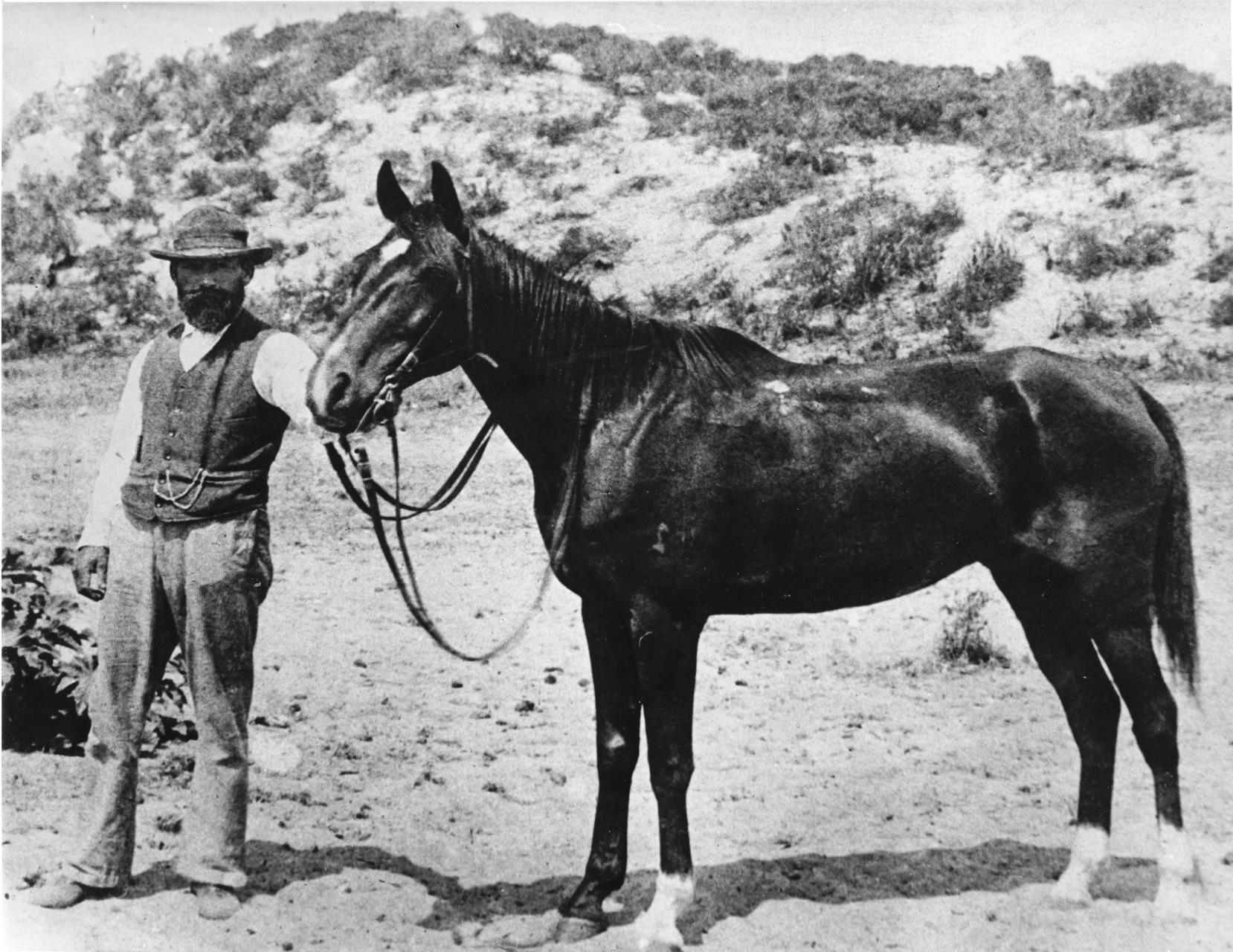 A horse and owner in the township of Norseman