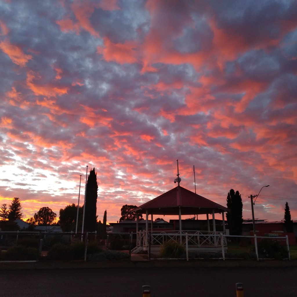 Memorial Park Image