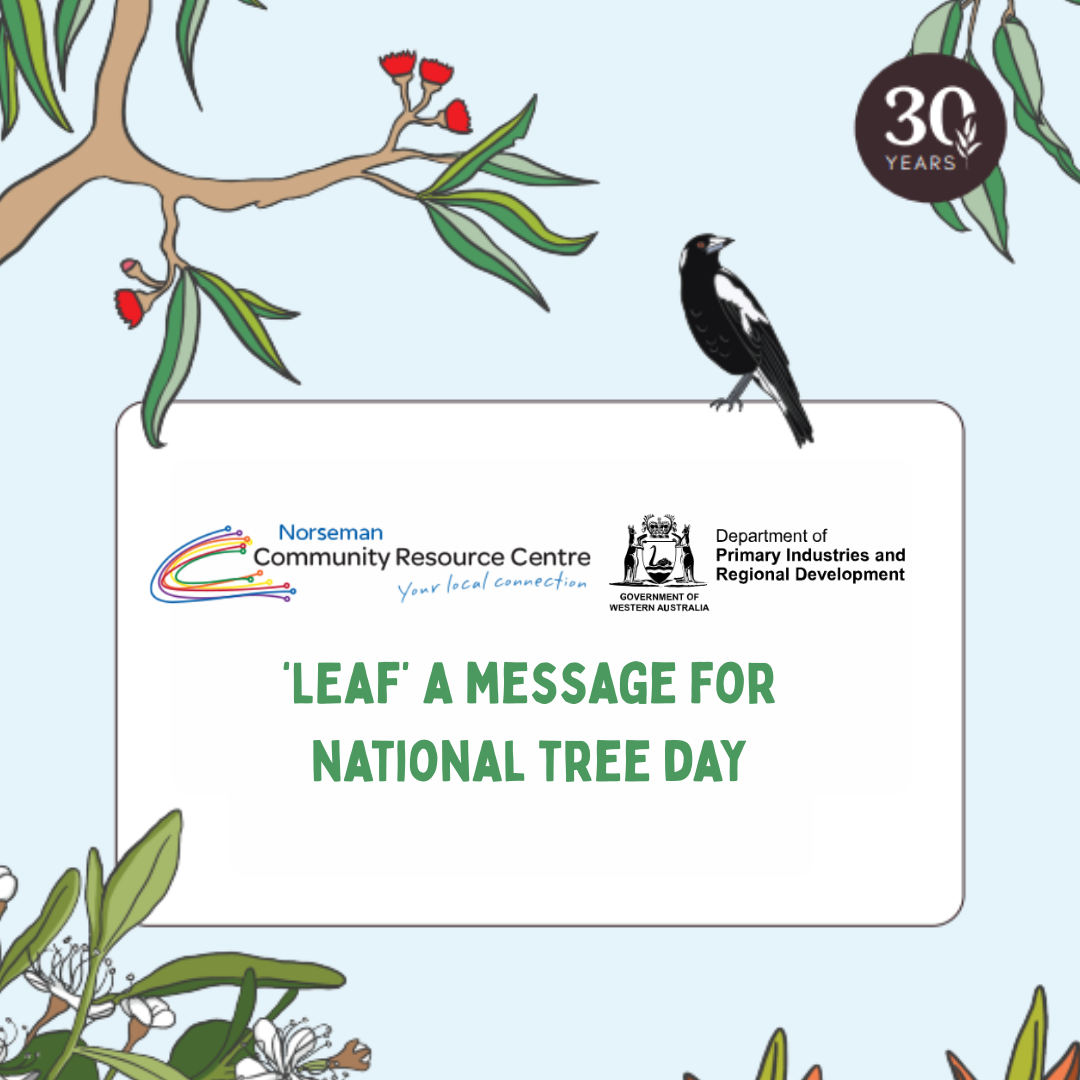 ‘Leaf’ a message for National Tree Day