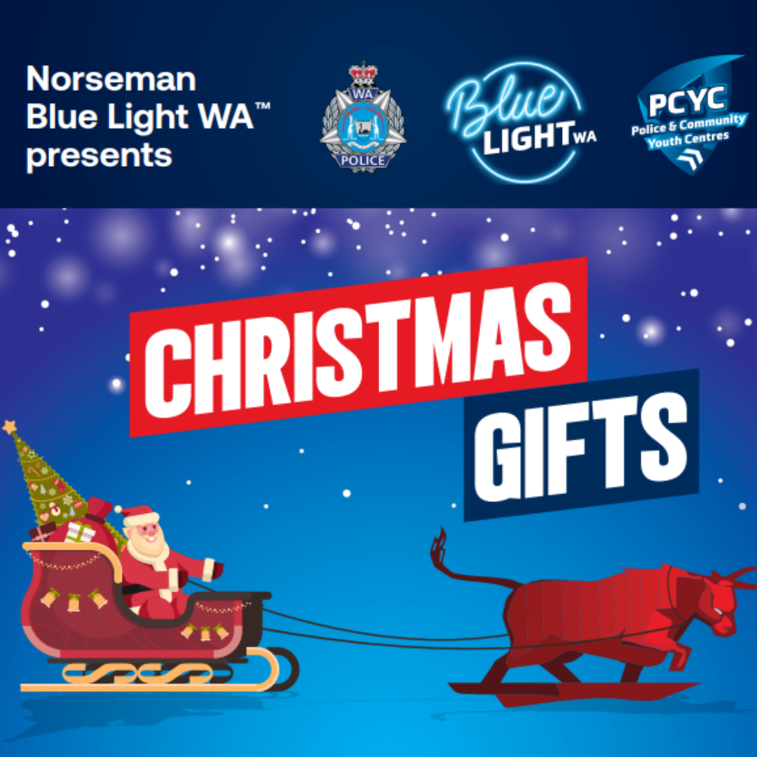 Norseman Blue Light Christmas Gifts